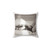 Taylor Swift Album Cover Pillow