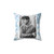 Alec Benjamin Pillow - Soft and Cozy Music Lover Gift