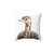 Cute Baby Ostrich Art Print Pillow by Synplus