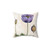 Black Poppy Pillow by Elizabeth Blackwell