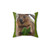 Cvocca Quokka Pillow - Soft and Supportive Bedding