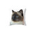 Ragdoll Cat Pillow