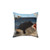 Black cat attacking great white shark decorative throw pillow