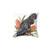 Red-Tailed Black Cockatoo Decorative Pillow