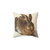 Albrecht Durer Hare Pillow - Vintage Renaissance Decor