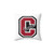 Colgate University Memory Foam Pillow