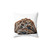 Chocolate/Brown Cockapoo Puppy on White Background Throw Pillow