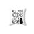 Cat Lover Pillow with Cute Cat Quote
