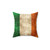 Vintage Aged and Scratched Irish Flag Pillow