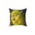 Shrek Face Meme Pillow - Iconic Cartoon Character Decor