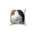 Cute Guinea Pig Pillow with Angeelo the Guinea Pig