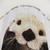 Funny and Adorable Otter Shower Curtain