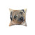 Border Terrier Art Painting Decorative Throw Pillow
