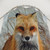 Red Fox Shower Curtains - Bring the wilderness into your bathroom