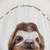 Adorable Little Sloth Shower Curtain