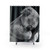 Sleeping Koala Shower Curtains for Australian Bathroom Decor