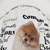 Pomeranian Dog Breed Shower Curtain