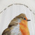 Red Robin Bird Shower Curtains
