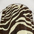Zebra Print Shower Curtains in Brown and Beige Animal Pattern