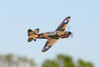 RAGE Curtiss P-40 Warhawk Micro Warbirds RTF Electric Airplane (400mm)