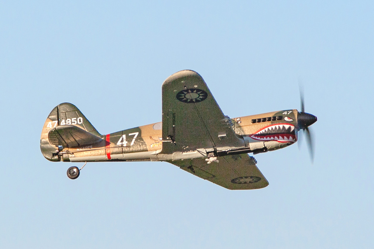 RAGE Curtiss P-40 Warhawk Micro Warbirds RTF Electric Airplane (400mm)