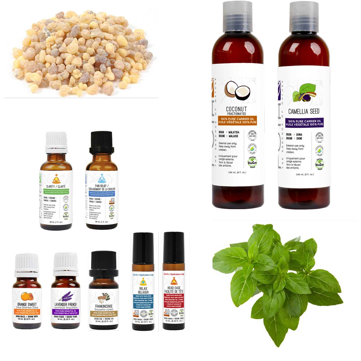 Massage Therapy Supplies Free Shipping at 99