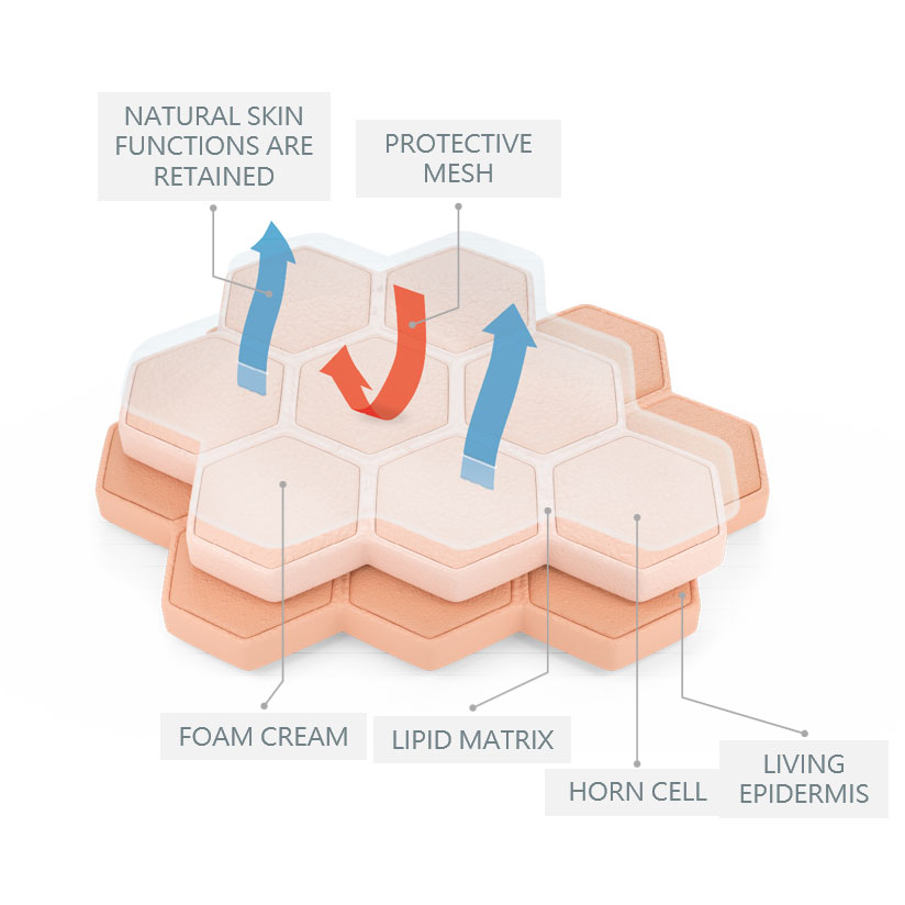 lipo2-functional.jpg