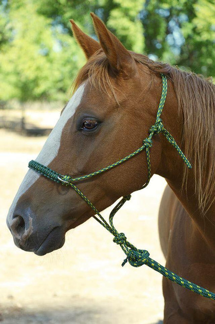 Rope Halter with Rings