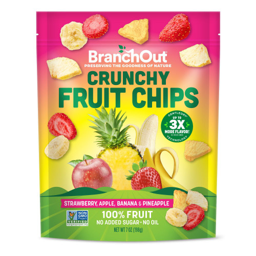BranchOut Crunchy Fruit Chips with Strawberry, Apple, Banana & Pineapple, No Added Sugar, 7 oz – front of package