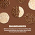 Lieber's Brittle Topped Chocolate Rice Cakes