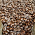 Cameron's Coffee Woods & Water Organic Light Roast Whole Bean Coffee – package view 3