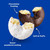 Hostess Donettes Variety Pack Donuts, Snack Size, 1.5 oz., 32 pk – package view 7