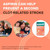 Bayer Chewable Low Dose Aspirin, 81 mg, Orange, 252 ct – package view 6