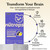 Nutrops by Gruns Adult Organic Functional Nootropic Mushroom Gummies, 25 Count – package view 7