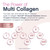 NeoCell® Multi Collagen + Biotin Mixed Fruit-Flavored Liquid, 16 fl. oz (473 mL), 2 Pack – package view 7