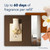 Glade PlugIns Scented Oil, Cashmere Woods with Sheer Vanilla Embrace, 1 Warmer + 9 Refills – package view 3