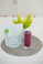 The Absolute Collagen Hydrolyzed Bovine Collagen Powder