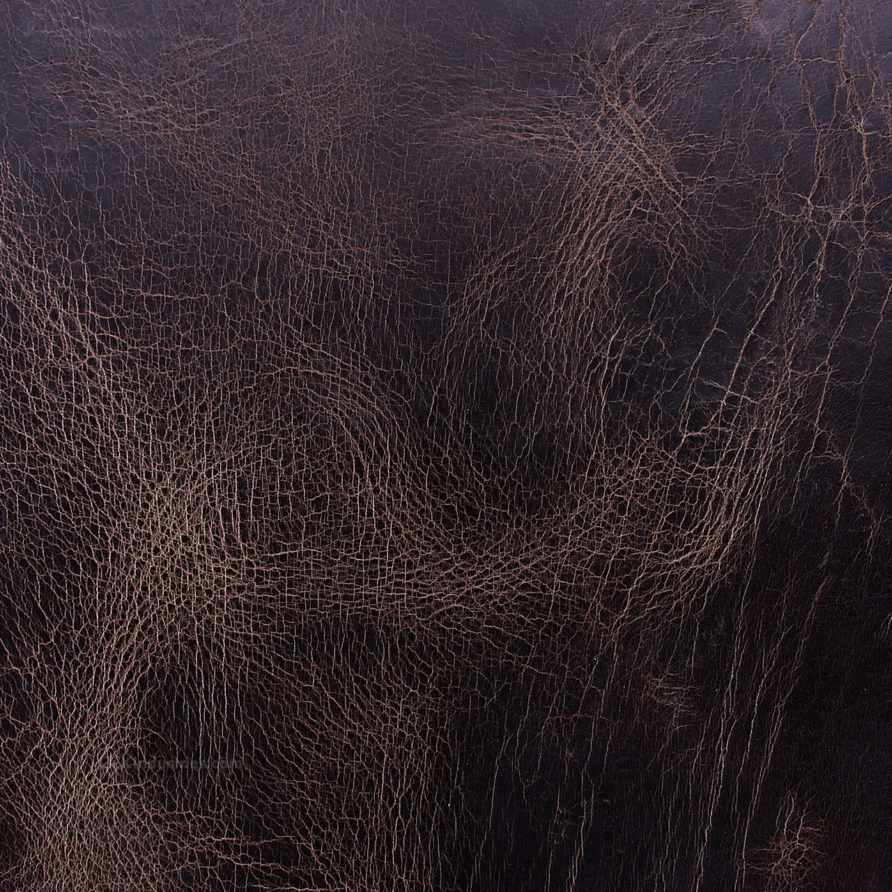 Water Buffalo - (Antique Chocolate) - Tanned Hides