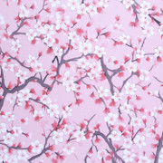 Cherry Blossom