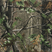 Realtree APG®