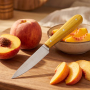 Savannah Paring - DIY Knife Kit - (w/Handle Combos)