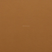 KYDEX® Sheet - (Coyote Brown) - (P1 Texture)