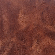 Water Buffalo - (Antique Brown) - Tanned Hides
