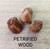 Petrified Wood - tumbled