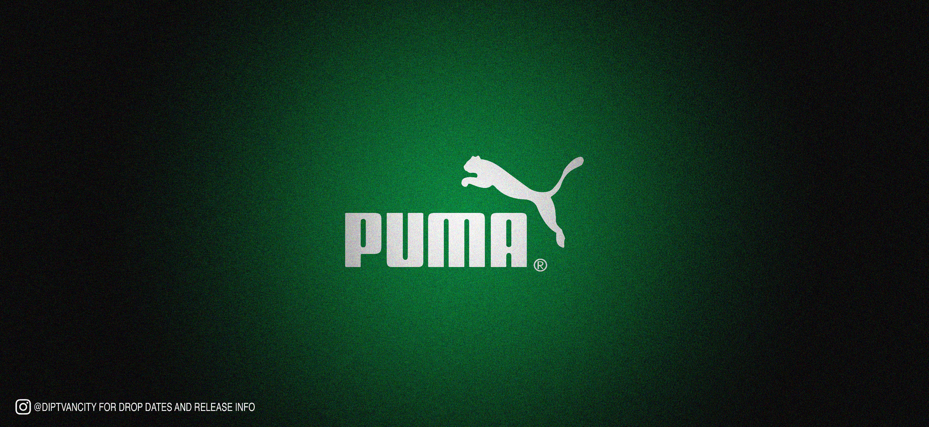 puma.jpg