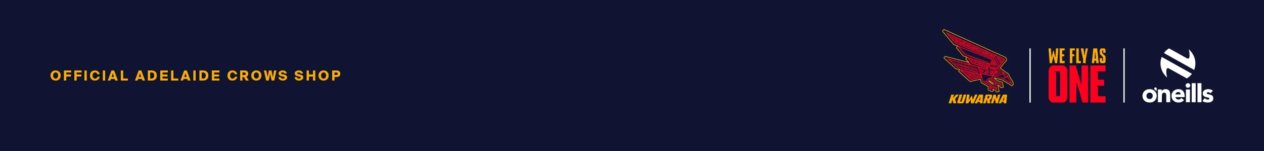 footer-2500x300-.png