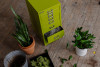Bisley Store + Maria Zimmer - How Foster Spaces Designs with Plants, Purpose, and Organization