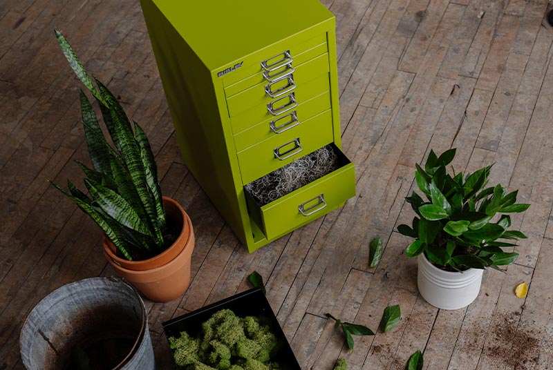 Bisley Store + Maria Zimmer - How Foster Spaces Designs with Plants, Purpose, and Organization Bisley Store + Maria Zimmer - How Foster Spaces Designs with Plants, Purpose, and Organization