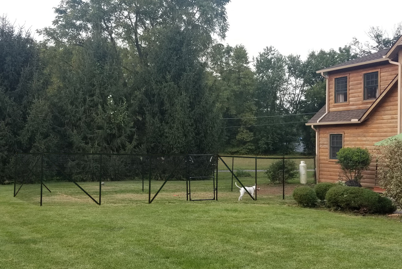 4' High Top Rail Heavy Duty Poly Dog Fence Kit