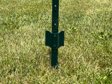 Green Steel U-Posts with Anchor Plate